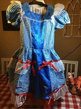 Wizard of oz Dorothy tween halloween costume dress size 6/8